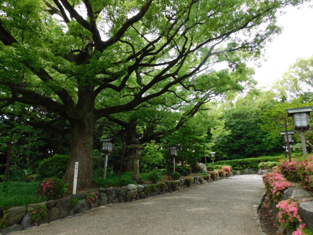 名古屋市緑区神社